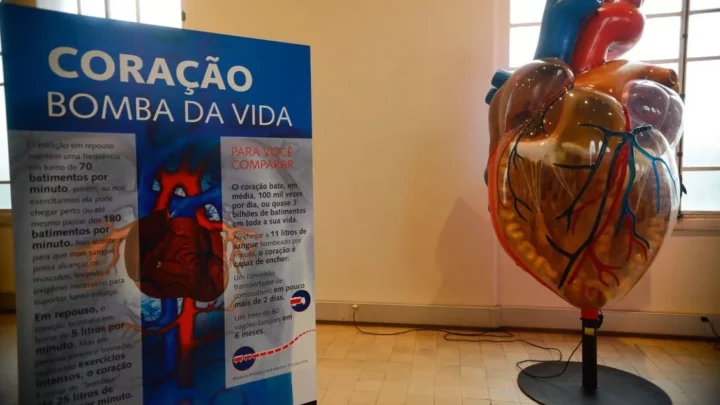 Internações por infarto aumentam mais de 150% no Brasil