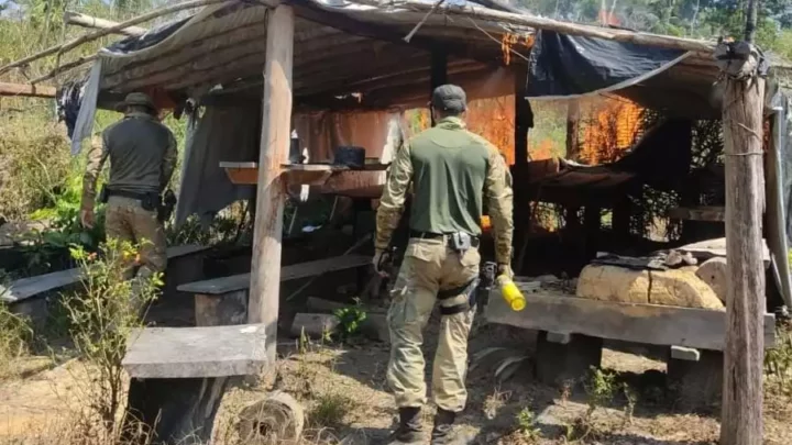 PF deflagra operação em combate aos invasores de terras indígenas em Rondônia