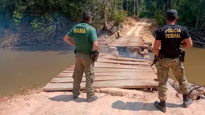 PF deflagra operação em combate a invasores de terras indígenas em Rondônia